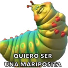 Quiero ser una mariposita