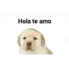 Hola te amo