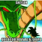 SHEYLON QUIERO QUE REVIVAS AL GRUPO