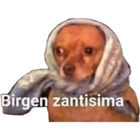 Birgen zantisima