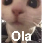 Ola