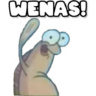 WENAS!