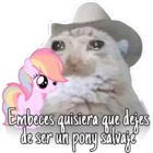 Embeces quisiera que dejes de ser un pony salvaie