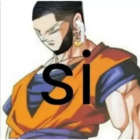 Si