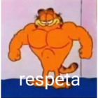 Respeta