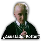 ¿Asustado, Potter?