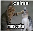 Calma mascota