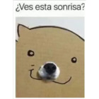 ¿Ves esta sonrisa?