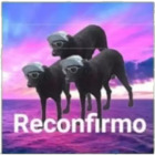 Reconfirmo