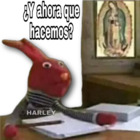 Y ahora qué hacemos?