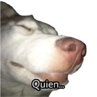 Quien...