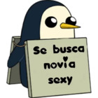 Se busca novia sexy