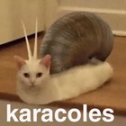 Karacoles