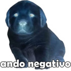 Ando negativo