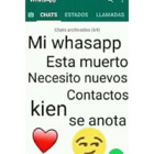 Mi WhatsApp está muerto, necesito contactos quien se anota