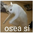 O sea sí