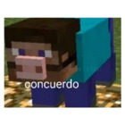 Concuerdo