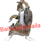 Baila baila baila