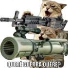 Quere guerra quiere?