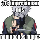 ¿Te impresionan mis habilidades ninja?