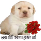 Con mil rosas para mí