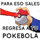 PARA ESO SALES REGRESA A TU POKEBOLA