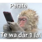 Perate te wa dar 1 lai