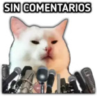 Sin comentarios