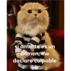 Si amarte es un crimen, me declaro culpable bb