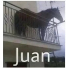 Juan