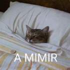 A MIMIR