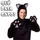 ¿Qué pasa gato?