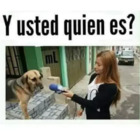 Y usted quien es?