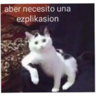 Aber necesito una ezplikasion