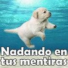 Nadando en tus mentiras