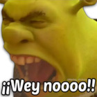 ¡Wey noooo!