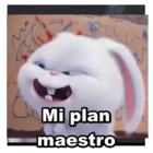 Mi plan maestro