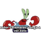 Señor Calamardo, venga a ver esto