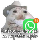 Embeces quisiera que me respondas rápido