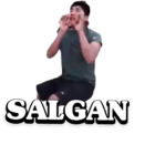 Salgan