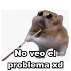 No veo el problema xd