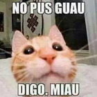 NO PUS GUAU DIGO. MIAU