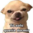 Yo solo queria dormir