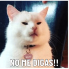 NO ME DIGAS!!