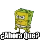 ¿Ahora Que?