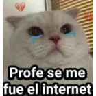 Profe se me fue el internet