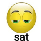 sat