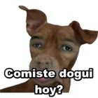 Comiste dogui hoy?