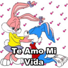 Te Amo Mi Vida