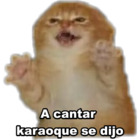 A cantar  karaoque se dijo